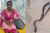 Kasargod: Snake bites teacher during Onam festivities in school